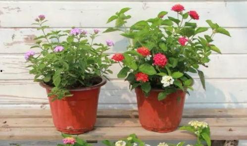 梅西最新爆料大巴车视频 第3张 梅西最新爆料大巴车视频 第3张