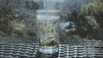 茶农世家最新爆料,传承千年的神秘茶事  第3张