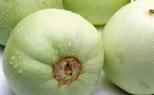 甜瓜最新大爆料视频